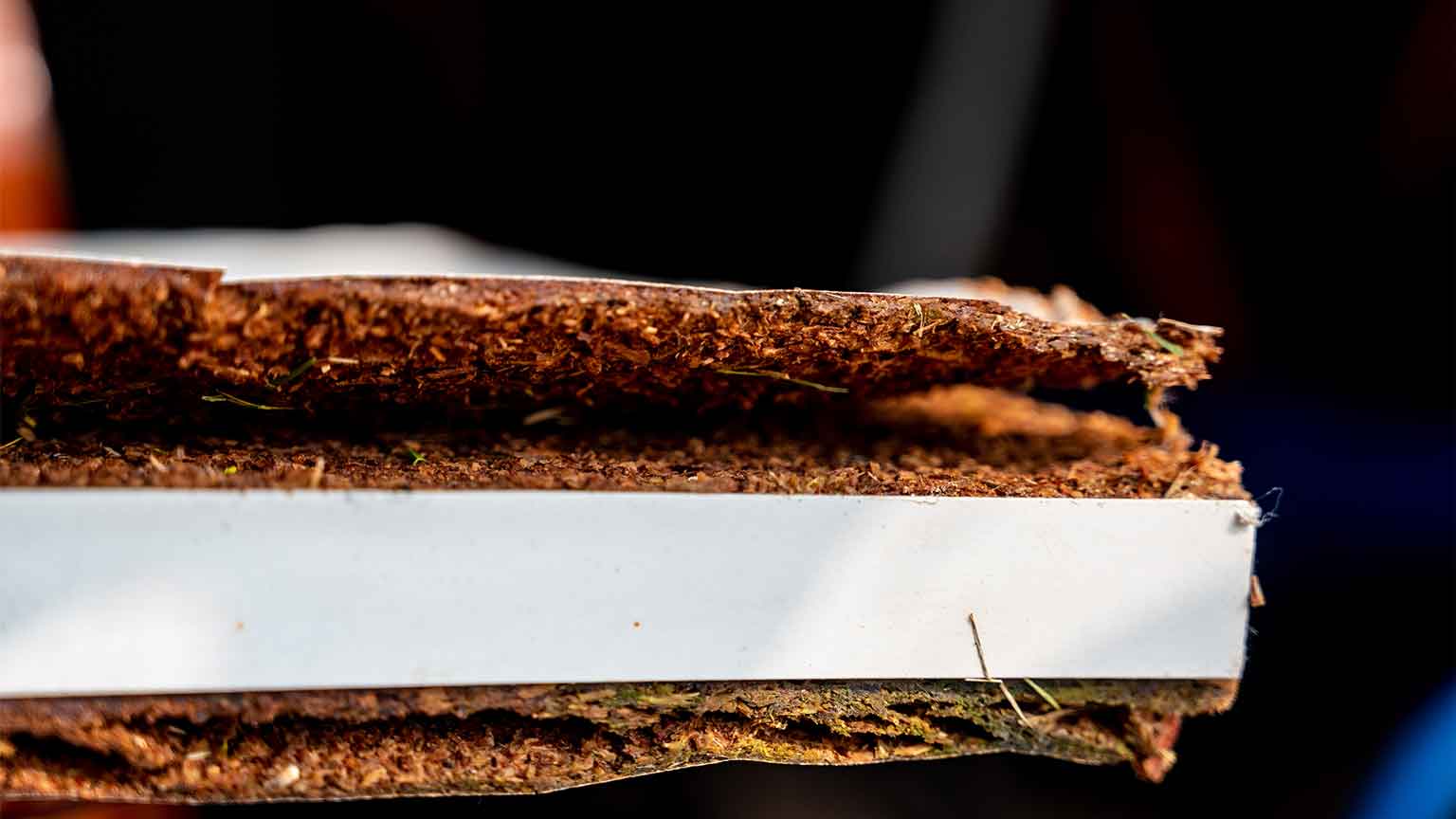 نکات مراقبتی ام دی اف